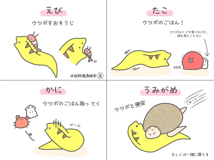 ウツボと海の生き物たちのよく見る絡み 
