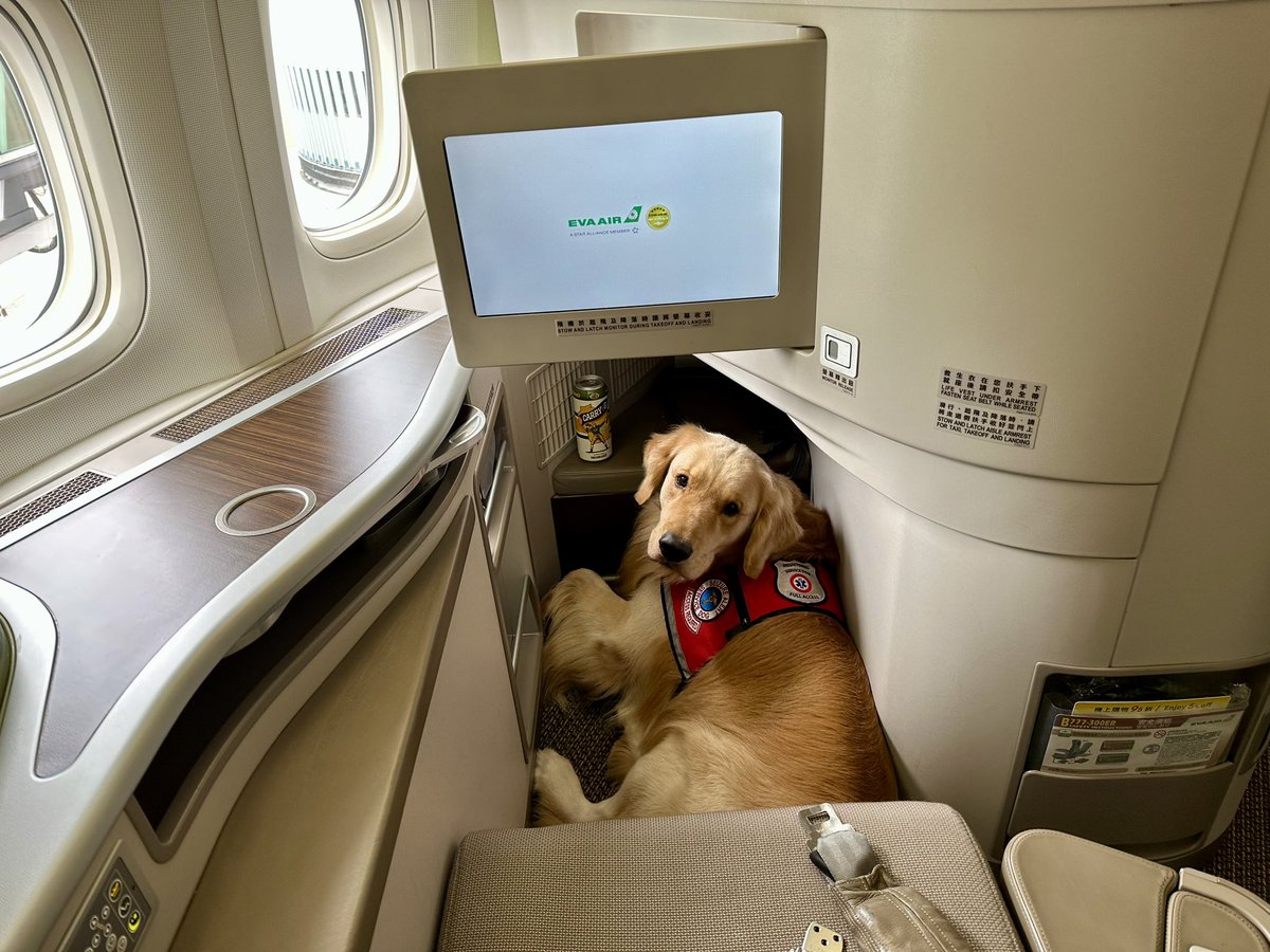 Chrome_PH's tweet photo. Where in the World is CTG Beer?
A Series.

A fancy plane from Manila to Taipei.

@cheeseheadtv https://t.co/VchJxdbDhg