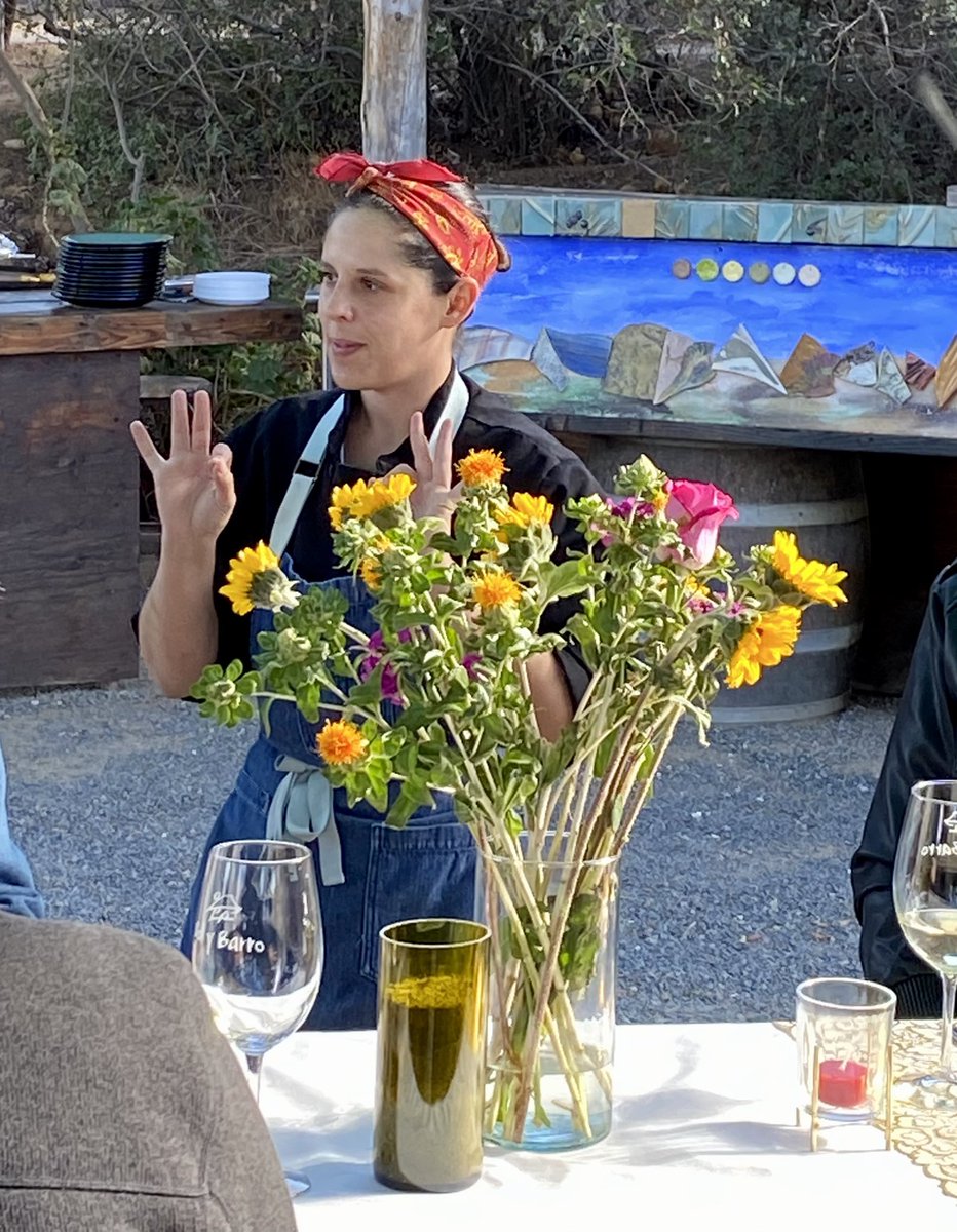 #ChefTiciana #Thewineroute #BajaCalifornia #experienciavip #personalizsdo #tourprivado #cocinadebaja #cocinagourmet #chef #thewineroute #valledeguadalupe  🍽👩‍🍳🔪🍷 wineroutebaja.com