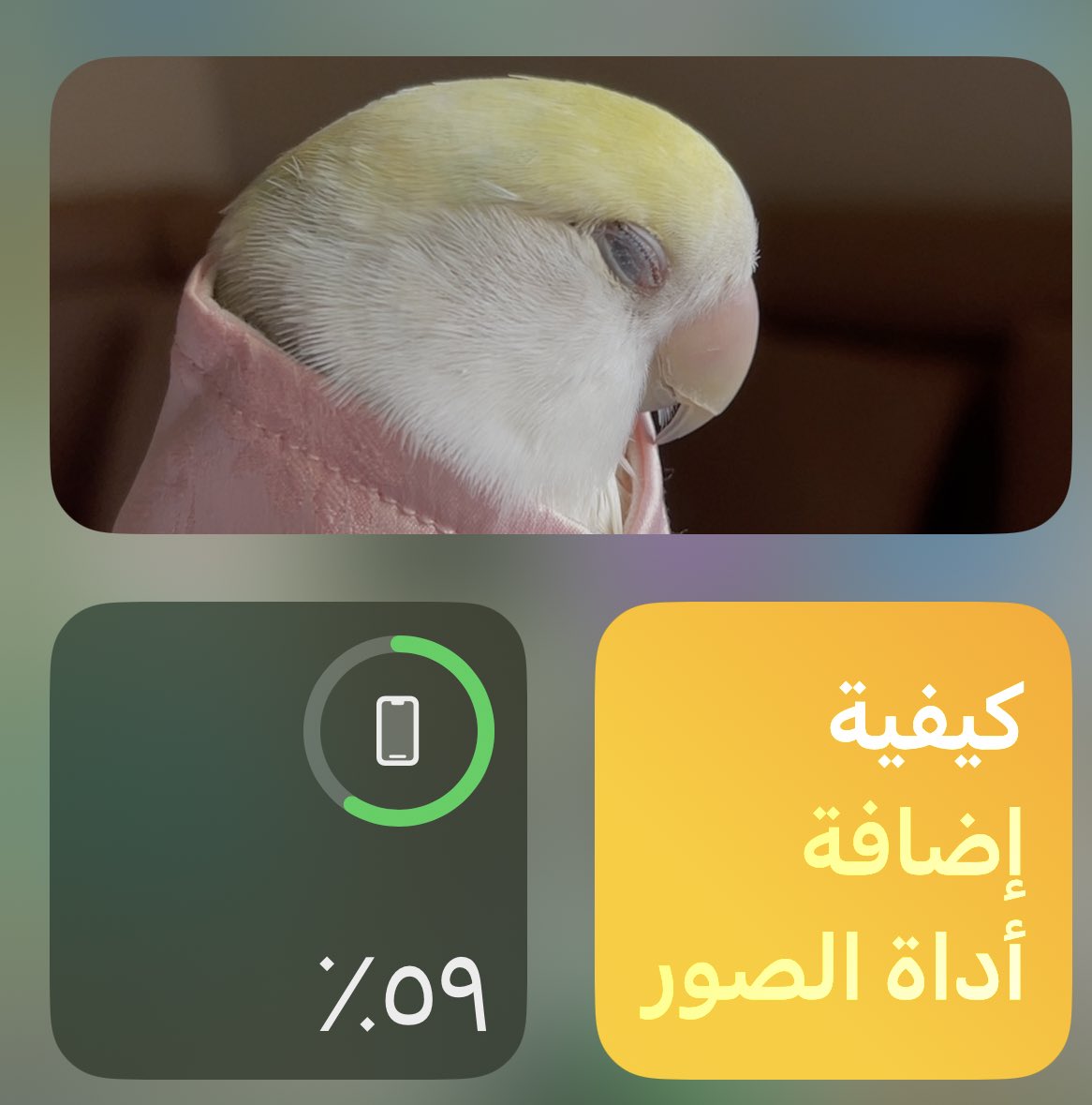 REEF_v's tweet photo. احبك https://t.co/ycurrFGM0R