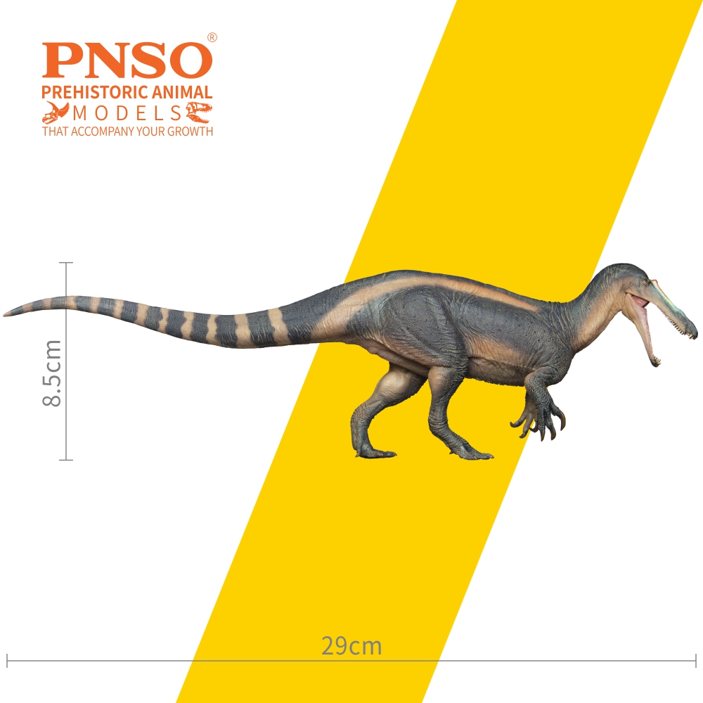 pnso_official's tweet photo. Ta-da, let’s welcome Thabo the Suchomimus, a common spinosaurid dinosaur that few people pay attention to. The online sale of this model from the PNSO Prehistoric Animal Models series will be available from PNSO official stores soon.
#pnso #dinosaur #Suchomimus https://t.co/DWbP9GbP1j