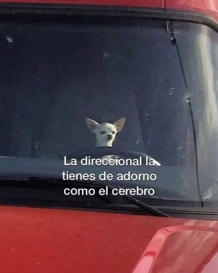 Lomitos Suavecitos (@suaveslomitos) on Twitter photo 