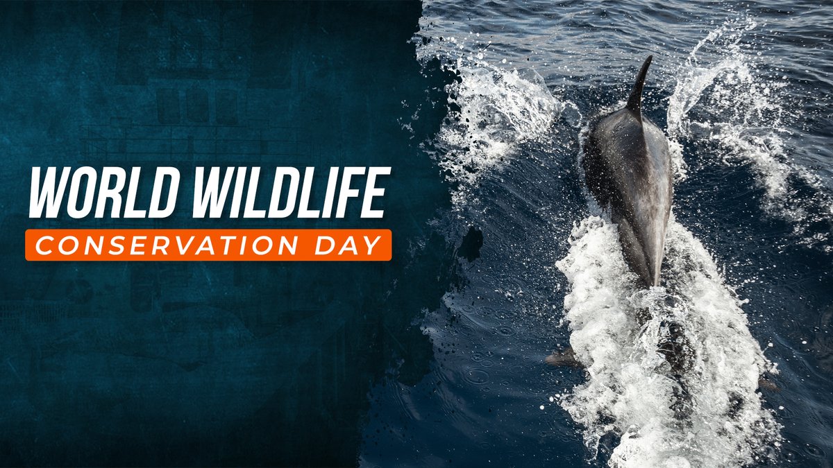 Sea Shepherd US tweet media