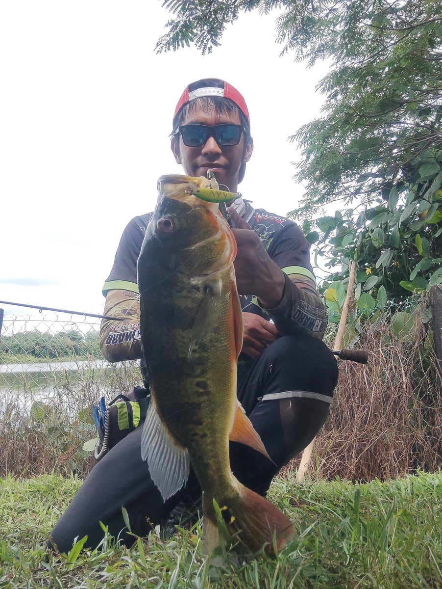 PakAlFishing's tweet photo. Rod ⏩ KUYING TETON 3-8LB
Reel ⏩ ATC combat CF bfs 
Mainline ⏩ Asuka Bravo 15lb
Ldr ⏩ Vanquish ghost 15lb
Lure ⏩ Shimano PANZAR sinking 
Clip ⏩mustad fastach 
Subspecies ⏩ peacock bass 
#peacockbass #fishing #lightsetup #shimanopanzar https://t.co/4z1upvGEpe