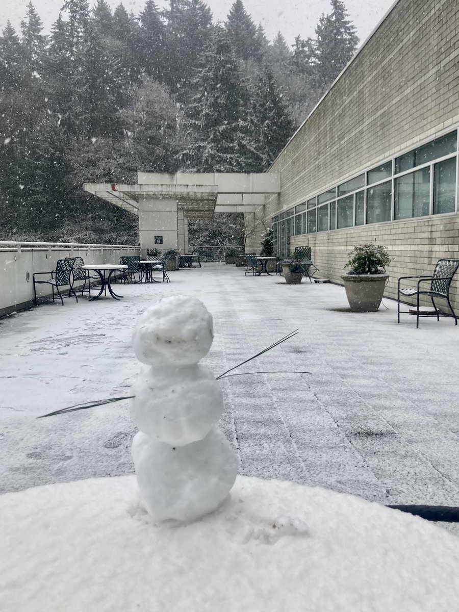 jg_eye's tweet photo. A rare quiet and snowy day at @CaseyEye ❄️ ⛄️ https://t.co/mxi2qN7XOt