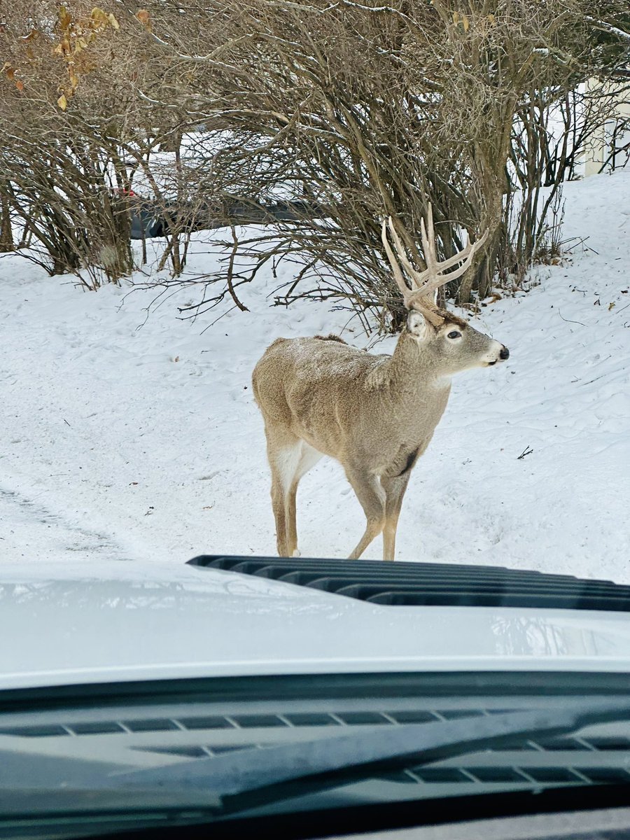 Best morning commute dropping off our kids