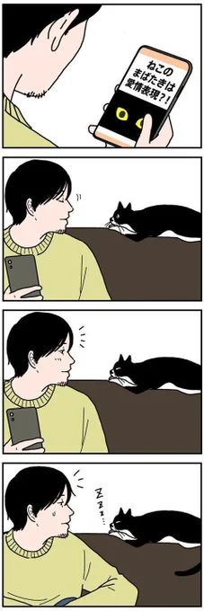 愛情表現の仕方は猫それぞれ【男の猫道】ねこのきもちWEB MAGAZINE限定話 vol.164|ねこのきもちWEB MAGAZINE https://t.co/T6lXudq8tN 