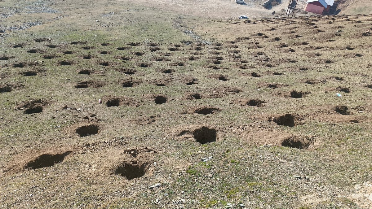 reshi_rameez's tweet photo. @mussarat_zia @dcramban @diprjk Plantation work in JV Division Baramulla https://t.co/DPaxsGdpom