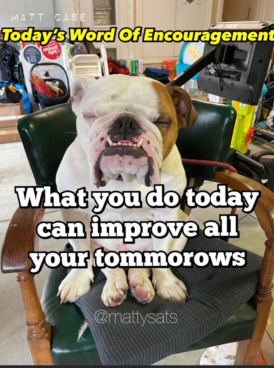 Matt Case tweet media