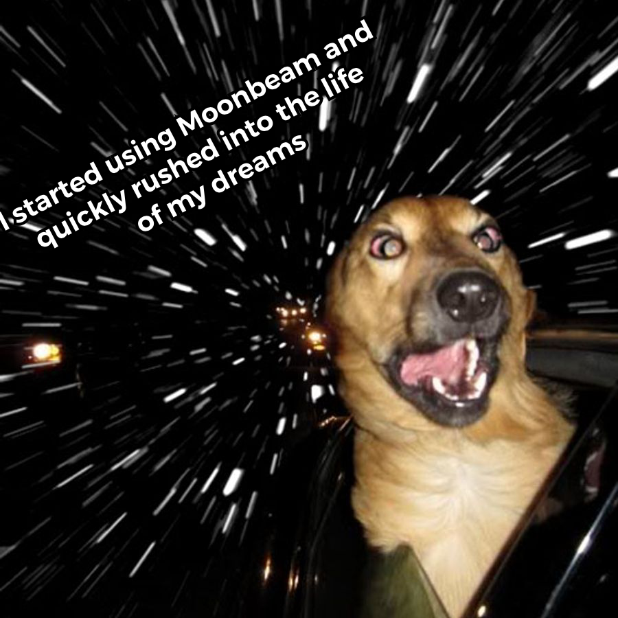 Mamauliy's tweet photo. Meme for Moonbeam 
@MoonbeamNetwork
 #Moonbeam #Polkadot #Ethereum 
@PolkadotSpace https://t.co/WjjZSUB4u3