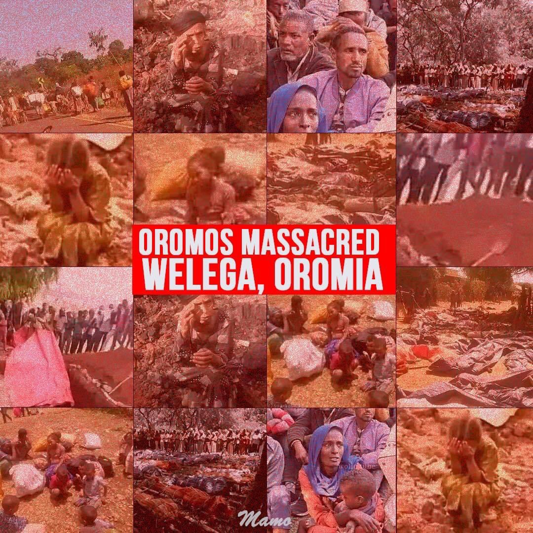 In Ethiopia Afar,Tigray, Wallo, Oromia, and Sudan all share border with Amhara. Due to its expansionist goals, it (Amhara) is at conflict with every single one of them. #NoMoreAmharaConquest
#WallaggaBleeding
#OromoGenocide 
#OromoVoice 
#OromoLivesMatter