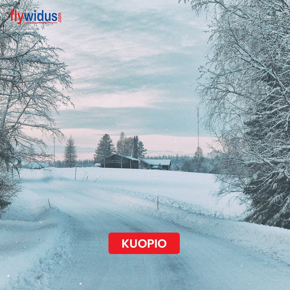 flywidus's tweet photo. Let's visit Santa Claus village!

For more information visit: https://t.co/3GSJeQfusP or Call: 9718076222

#flywidus #santaclaus #christmas #santa #christmastree #merrychristmas #christmastime #winter #village #travel #tour #trip #holidays https://t.co/IpwUQz2Jo2