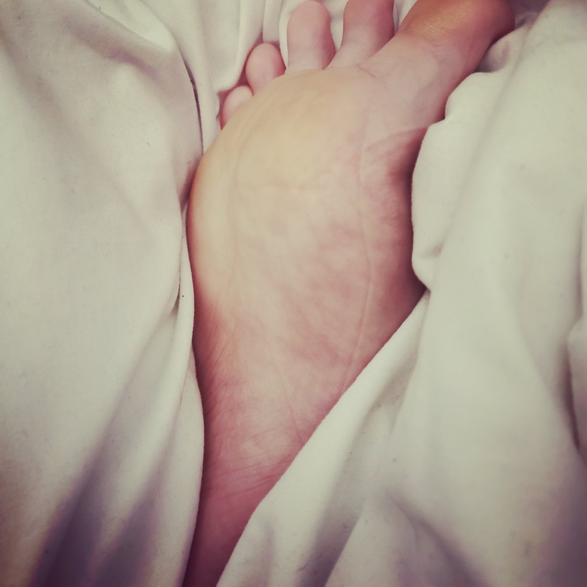 MizzStump's tweet photo. It's cold this morning anyone want help keep me warm?

soft feet • girl's feet • feet lover • feet slave • selfeet

@FeetPics @tweety_feet @Prettytoes69 @SoloPiedini @FeetRetweets @HOSoles
@thefootlover01 @RTyourFeet @Maturefootlover @rt_feet @LoveThoseFeet_ https://t.co/3BRAGbk0fV