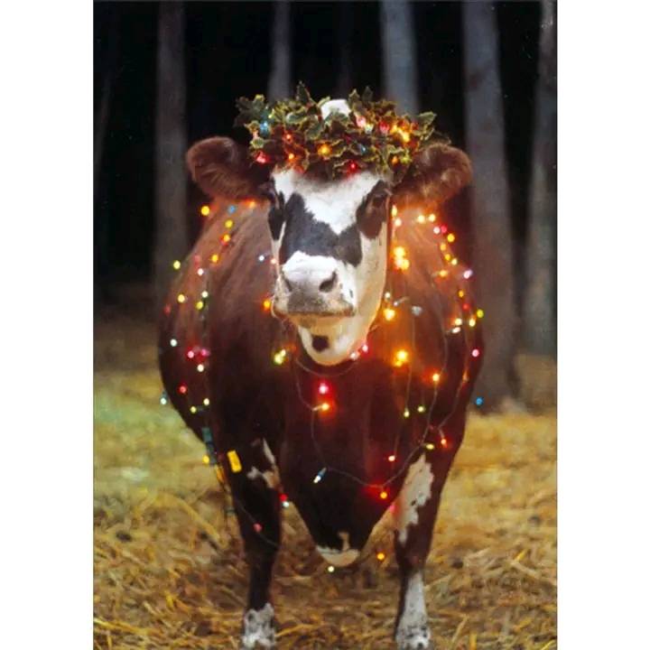 CowVibesOnly's tweet photo. Cow Christmas tree 🤣 https://t.co/CXWzfhl6U4