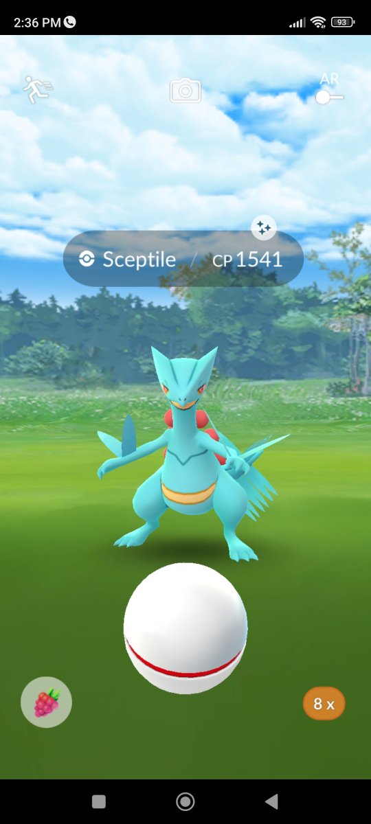 rocksourav89's tweet photo. Well Spent Raid Day 🥰💖
Back to back two Sceptile wait it's Shiny ❤️💖✨✨
#ShinyPokemon 
#Raidday
#PokemonGOApp 
#PokemonGO 
#NianticAR https://t.co/ovAF9lID2K