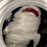 洗濯機開けたら驚きの光景が!ジョーズが溺れてる？!