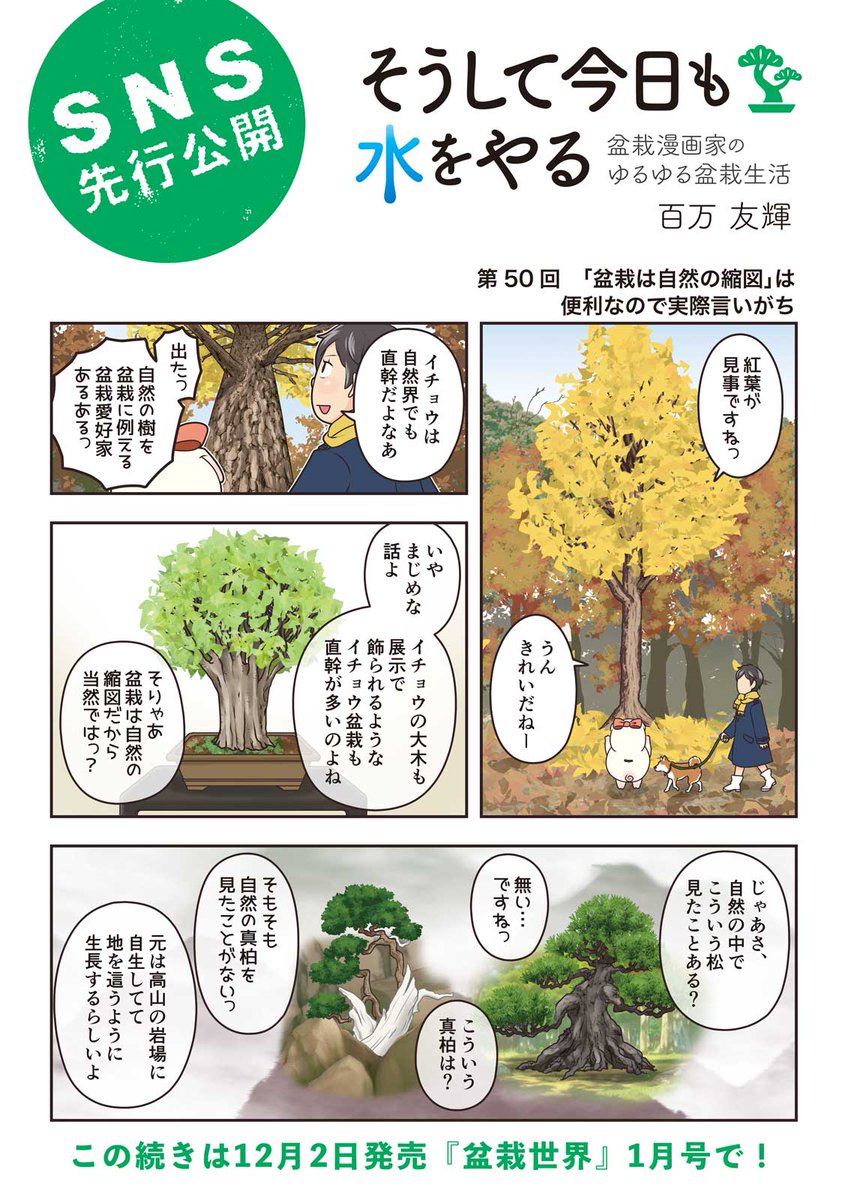 【盆栽世界1月号予告】
樹と共に暮らす生活を提案する盆栽専門誌『 #盆栽世界』最新号は12/2発売済!
今回の #水やる は樹形を深掘り。盆栽の形とは自然の模倣か人間のエゴか…!?
本誌メイン特集は「冬の間に整えておく」。ネットが弱い盆栽世界にQさん動画の光も射し始めたよ! #盆栽 #bonsai 