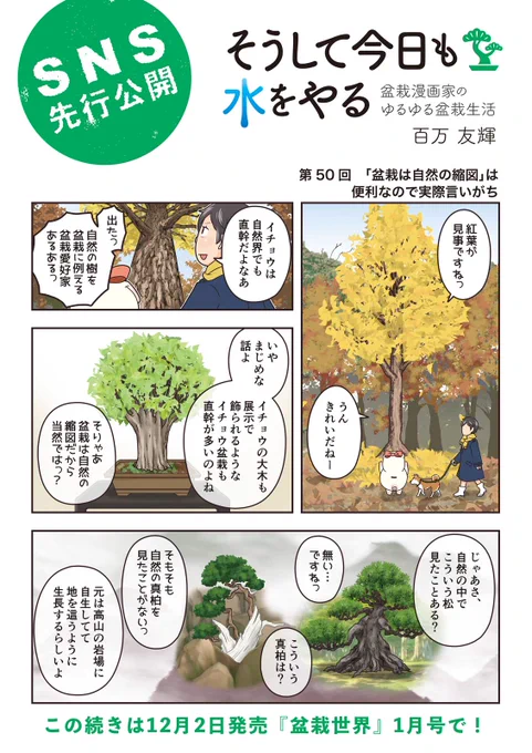 【盆栽世界1月号予告】樹と共に暮らす生活を提案する盆栽専門誌『 #盆栽世界』最新号は12/2発売済!今回の #水やる は樹形を深掘り。盆栽の形とは自然の模倣か人間のエゴか…!?本誌メイン特集は「冬の間に整えておく」。ネットが弱い盆栽世界にQさん動画の光も射し始めたよ! #盆栽 #bonsai 