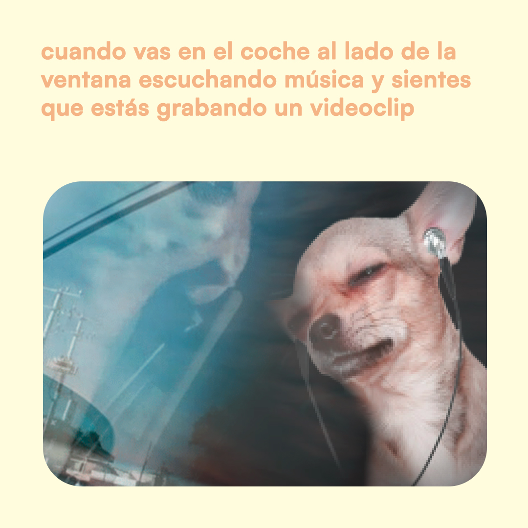 JVCSpain's tweet image. Nos encanta romantizar nuestra vida 🙄