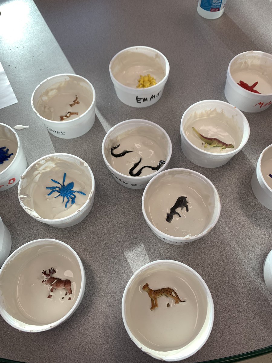 Winston Willy (@winstonwilly) on Twitter photo Grade 4 <a href="/WinstonWilly/">Winston Willy</a> students made mold fossils in science class! Next — take the imprint and create cast fossils!! <a href="/LloydPublic/">Lloydminster Public</a> Grade 4 <a href="/WinstonWilly/">Winston Willy</a> students made mold fossils in science class! Next — take the imprint and create cast fossils!! <a href="/LloydPublic/">Lloydminster Public</a>