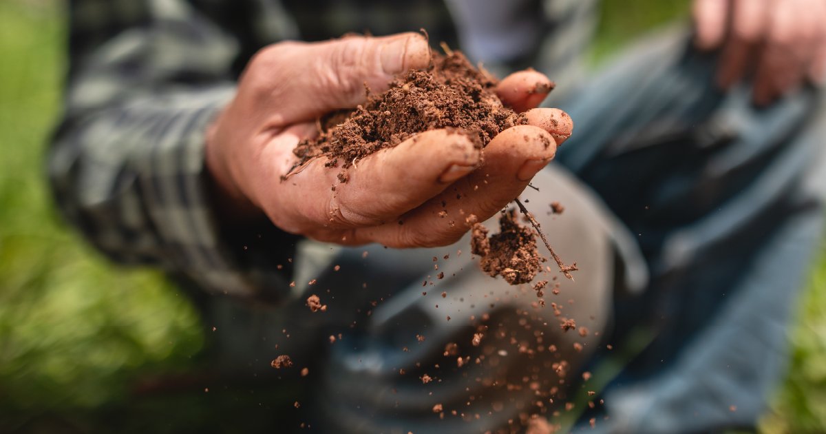 Today is #WorldSoilDay 
Do you know the signs of healthy soil? In this blog, Fertiliser manager, Dave Mitchell tells us the signs to look out for and how to improve soil structure using fertiliser.

Read now: bit.ly/3OHPziF 
#SoilHealth #SoilNutrition #Fertiliser