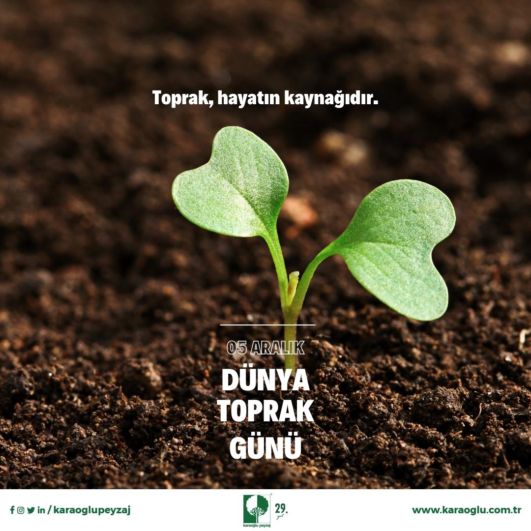KaraogluPeyzaj's tweet photo. Toprak yeryüzündeki yaşamın temelidir. Toprağımızı koruyalım.                    
 #DünyaToprakGünü kutlu olsun.

#KaraoğluPeyzaj #landscape #peyzaj #landscapearchitect #bahçebakımı #landscapearchitecture #peyzajmimarlığı #peyzajonarımı #peyzajuygulama #softscape #bitkiselpeyzaj https://t.co/uNRkvrJwCe