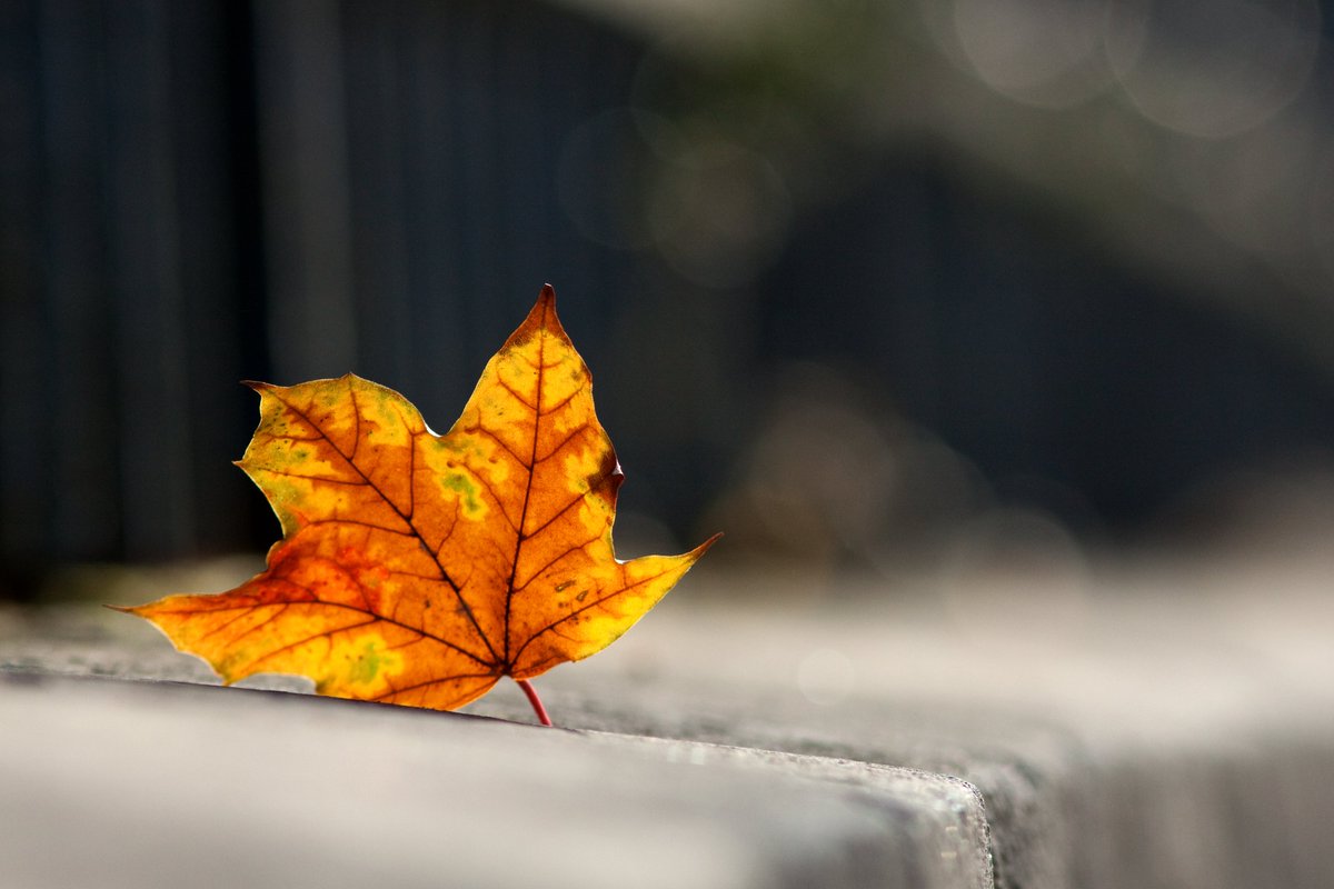 formulaires.paris.fr/formulaires/18…  Après les jeux de société, restez au chaud et écoutez des histoires de Noël !