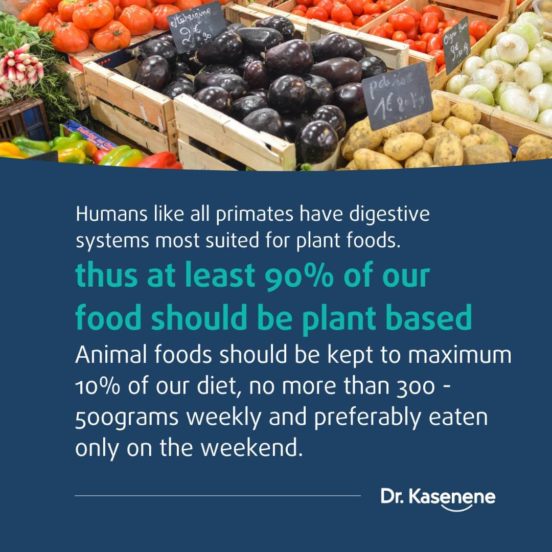 Like all primates, humans have digestive systems most suited for plant foods.

Therefore, at least 90% of our food should be plant based

Animal foods should be kept to maximum 10% of our diet, no more than 300 - 500grams weekly and preferably eaten only on the weekend.