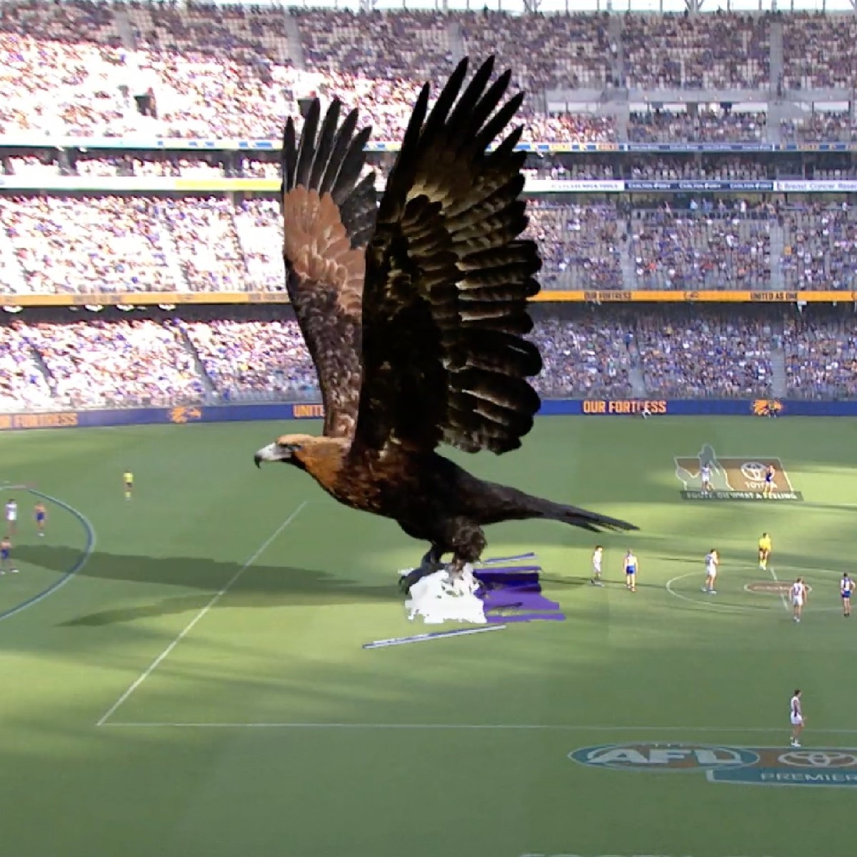 KOJO (@kojoworld) on Twitter photo Some exciting news from the #KOJOSport team! Our <a href="/WestCoastEagles/">West Coast Eagles</a>Â Mixed-Reality experience at <a href="/OptusStadium/">OptusStadium</a>Â has won âBest AV/Fan Experienceâ at The Stadium Business Design & Development Awards 2022 in London!
thestadiumbusiness.com/2022/11/29/win⊠Some exciting news from the #KOJOSport team! Our <a href="/WestCoastEagles/">West Coast Eagles</a> Mixed-Reality experience at <a href="/OptusStadium/">OptusStadium</a> has won âBest AV/Fan Experienceâ at The Stadium Business Design & Development Awards 2022 in London!
thestadiumbusiness.com/2022/11/29/winâŠ