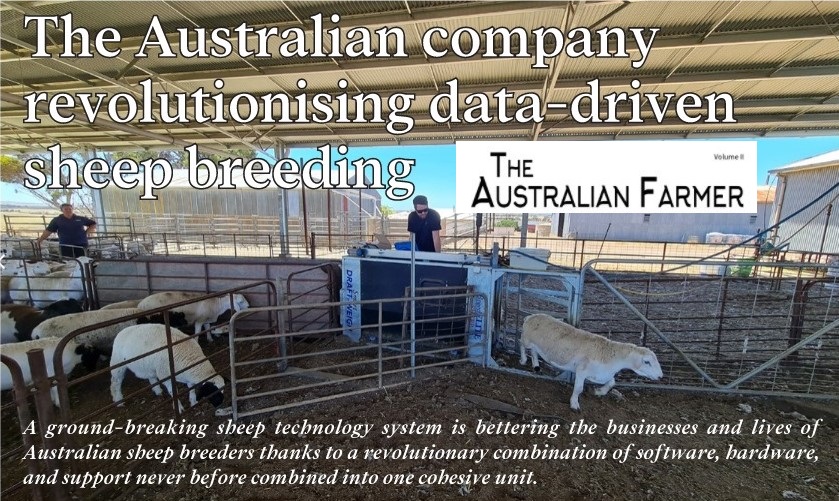 Read brand new 3-page article "The Australian company revolutionising data-driven sheep breeding" (<a href="/BreedElite/">BreedELITE</a>) in your latest refreshed version of <a href="/TheAusFarmer/">The Australian Farmer</a> Volume II. au-cloud.3dissue.com/5110/5091/5091… 
LIKE COMMENT SHARE BOOKMARK FOLLOW 
<a href="/SheepProducers/">Sheep Producers Australia</a>