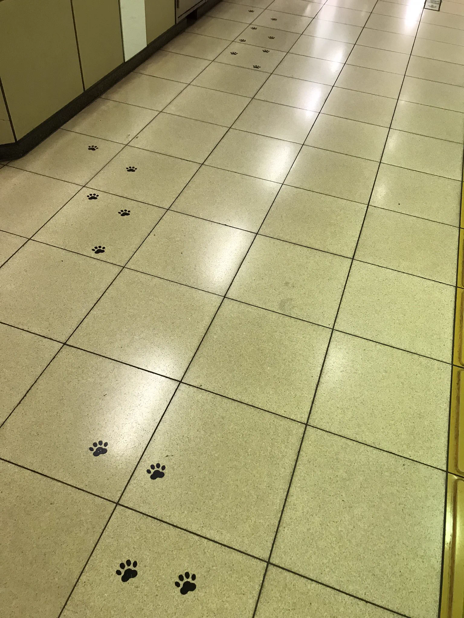 猫好きさんは横浜の「踊場駅」に急げ～！切符や駅舎あちこちが猫だらけ！