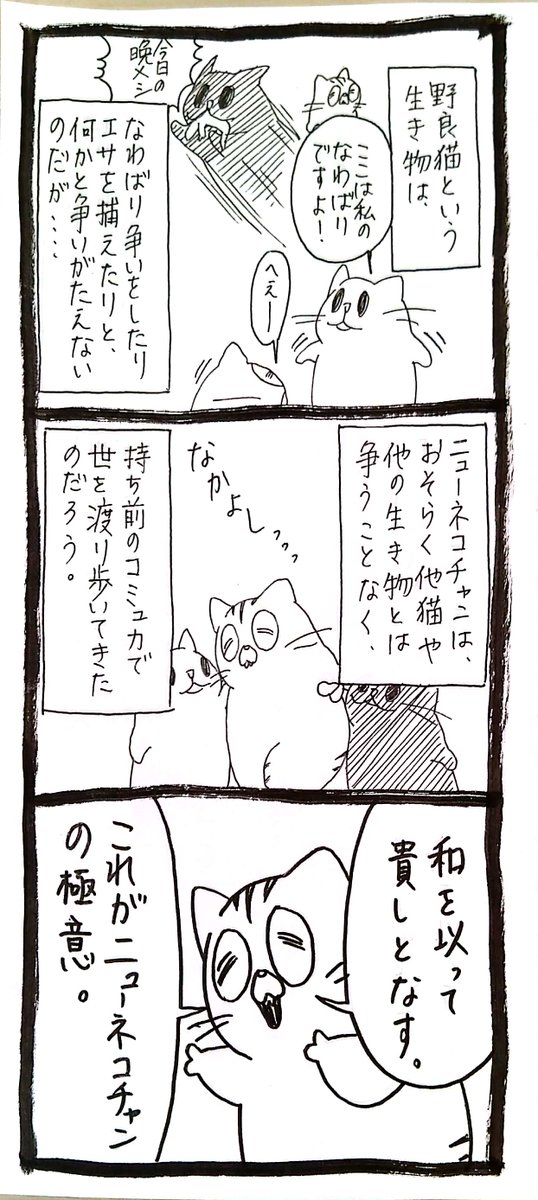 運動神経を高めたい猫24 