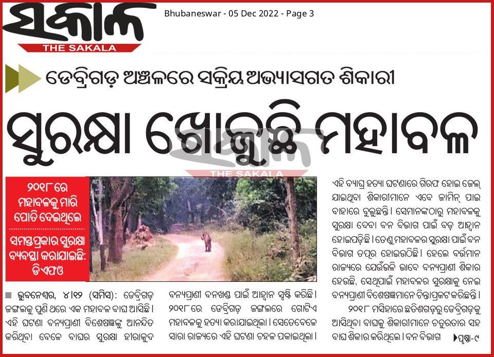 biswajitmohanty's tweet photo. Debrigarh tiger https://t.co/0zsfkaAXee