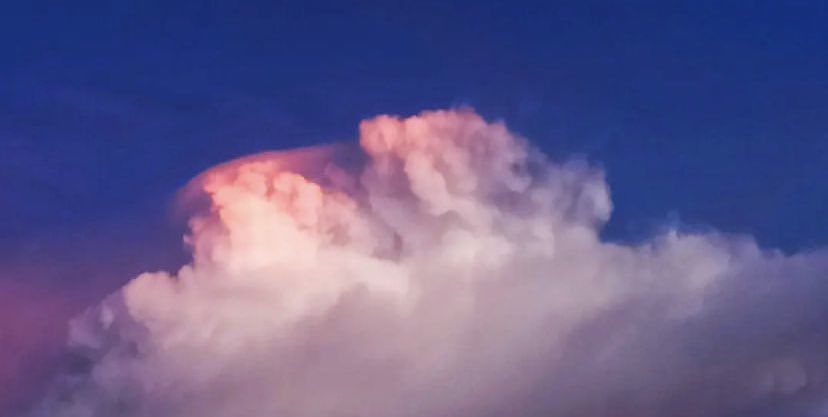 skyindigo_blue's tweet photo. 𝗜 𝘄𝗶𝗹𝗹 𝗴𝗿𝗼𝘄 𝘂𝗽 𝗼𝗻 𝗺𝘆 𝗼𝘄𝗻𝗽𝗮𝘁𝗵.

ฉันจะเติบโต ในเส้นทางที่ฉันเลือกเอง

#คําคม #คําคมภาษาอังกฤษ #แคปชั่น #แคปชั่นภาษาอังกฤษ #หมามองท้องฟ้า #คําคมโดนๆ #แคปชั่นอ่อย #แคปชั่นโดนๆ #คําคมดีๆ https://t.co/K4b38FC9SP