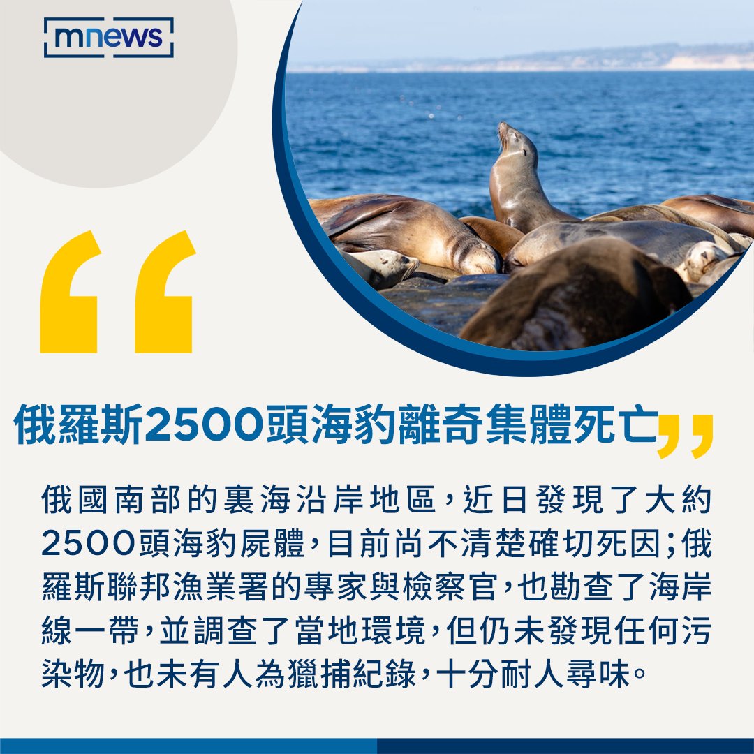 可憐的海豹們⋯RIP 南部裏海（Caspian Sea）沿岸地區，發現大約2500頭 的屍體，目前尚不清楚死因！🦭