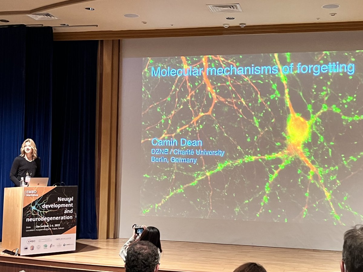 Cool talk on the molecular mechanism of LTD, depotentiation and forgetting from Camin Dean of DZNE, Germany <a href="/EMBOevents/">EMBO Events</a> #EMBO <a href="/AcadSinica/">中央研究院 Academia Sinica</a>