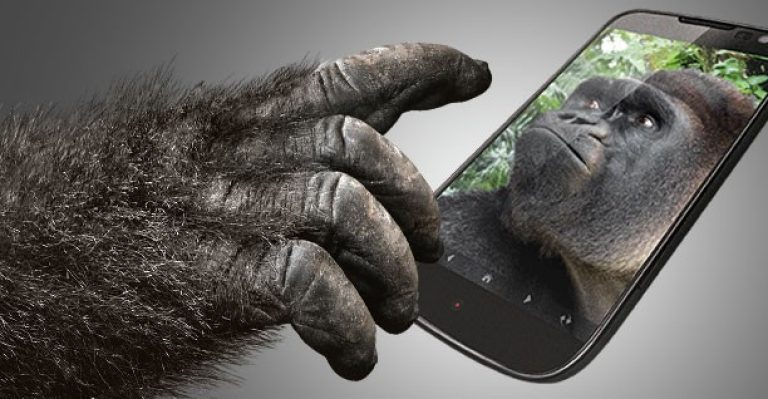 TechScoreNY's tweet photo. IT'S HERE: Corning Gorilla Glass Victus 2 🥛🥛
#gorillaglass #victus2 #tech https://t.co/FIxOFbhS8v