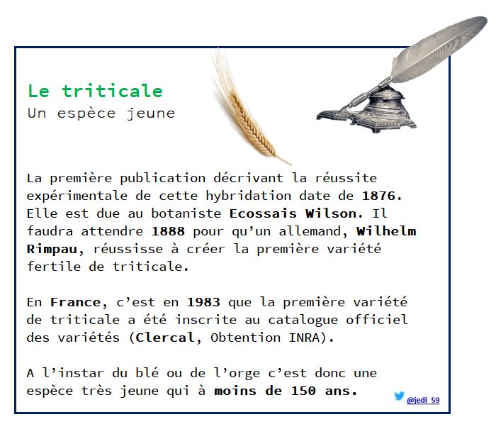 jedi_59's tweet photo. Au faite le #triticale c'est quoi ?

Billet n° 2
Une espèce jeune ! 🍼 https://t.co/EufT3ixlk3