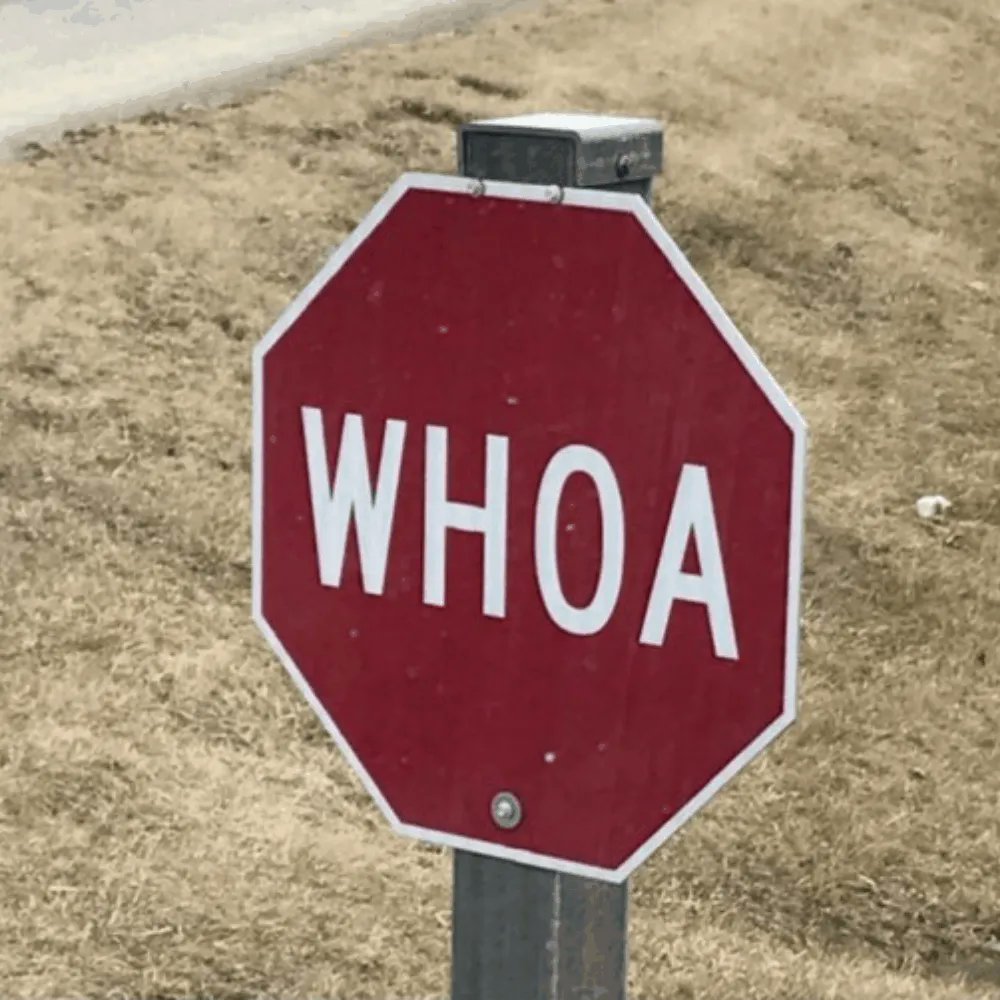 ConnectingODots's tweet photo. #EdgeCasesRUs
Stop signs in Amish country
(AFAIK real)
#Tesla #FSD #TrainingDataset https://t.co/JW6TX09wps