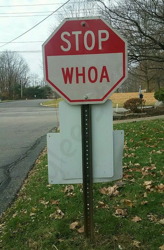 ConnectingODots's tweet photo. #EdgeCasesRUs
Stop signs in Amish country
(AFAIK real)
#Tesla #FSD #TrainingDataset https://t.co/JW6TX09wps