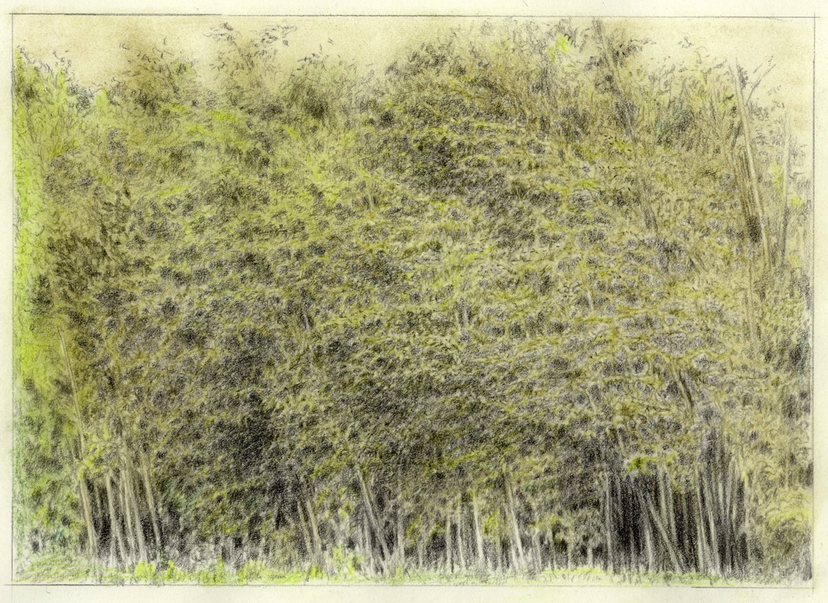 久しぶりに投稿しました。
絵はずっと描いていて、しかし相変わらず、一生終わらない試行錯誤って感じです。