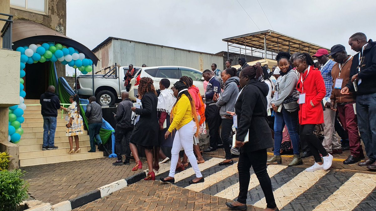 Joyce Mbingo tweet media