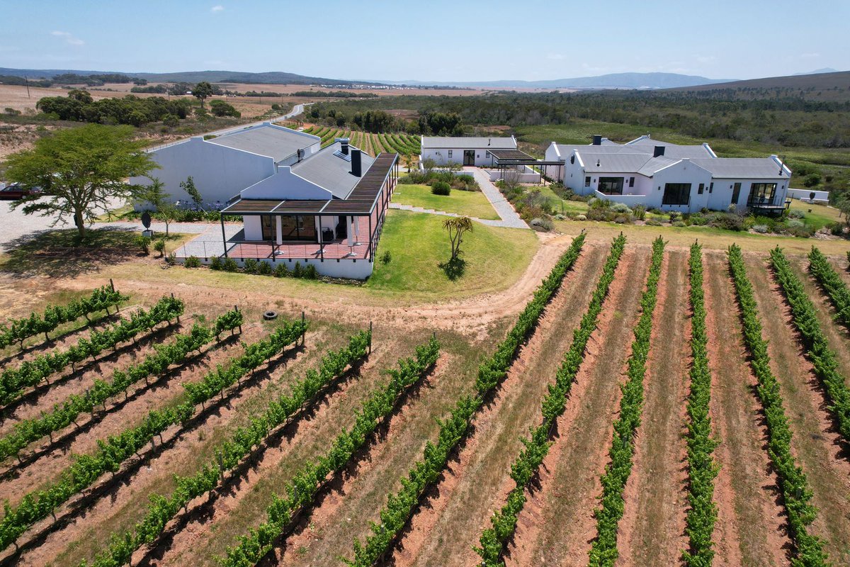 Monsieur Chevalier Ponto 🇿🇦 on Twitter "One of the black owned wine
