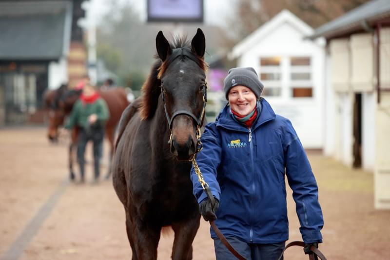 ArcadiaElevage's tweet photo. 💫Great result in the ring for this colt from the first crop of Persian King o/o Miss Monde who was the top priced foal on Sunday when selling for €160,000 to @A_C_Elliott.

👏Congratulations to his breeders for breeding such a nice colt &amp; best of luck to his new connections! https://t.co/bo9sWTNqIi