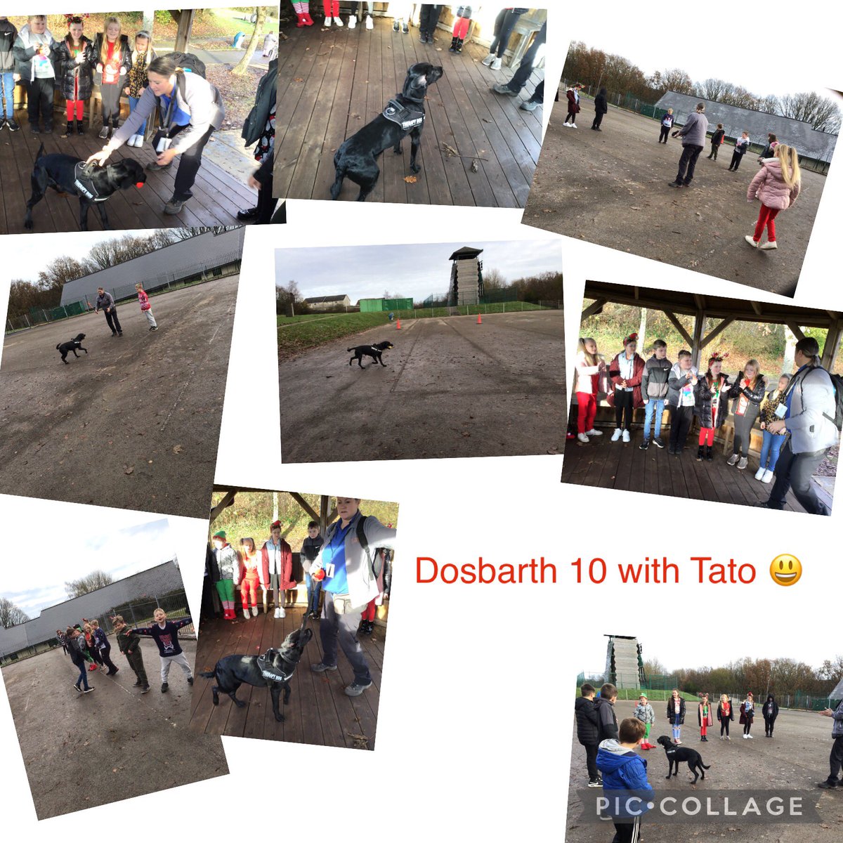 Dosbarth 10 have loved spending time with Kato <a href="/caring_canines/">Caring Canines Cymru</a> 
Da iawn pawb 👏🏻🤩👏🏻<a href="/miss_rudge/">Miss Rudge</a> <a href="/misssparry95/">Miss S Parry</a> <a href="/garntegprimary/">Garnteg Primary</a>