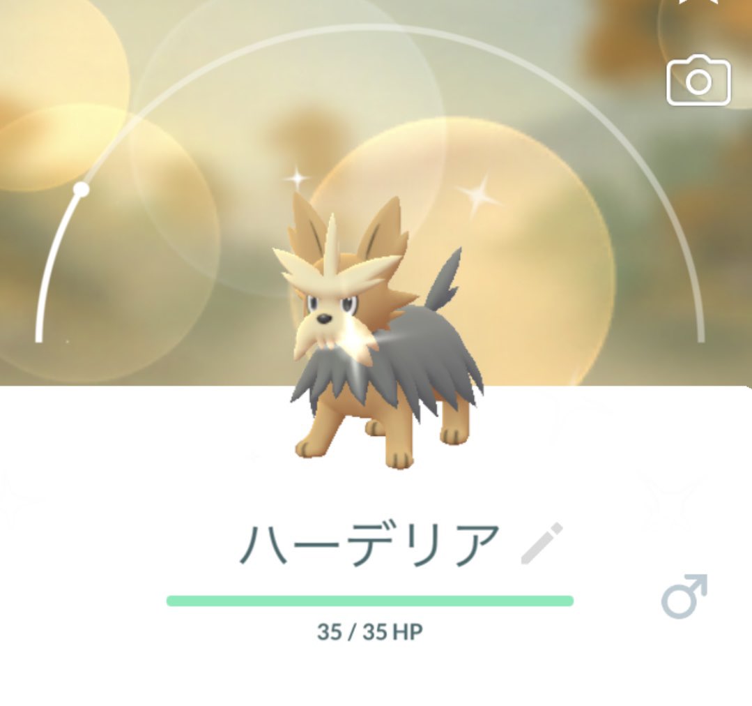 ポケモンgo ハーデリアの色違い 入手方法と実装状況 攻略大百科