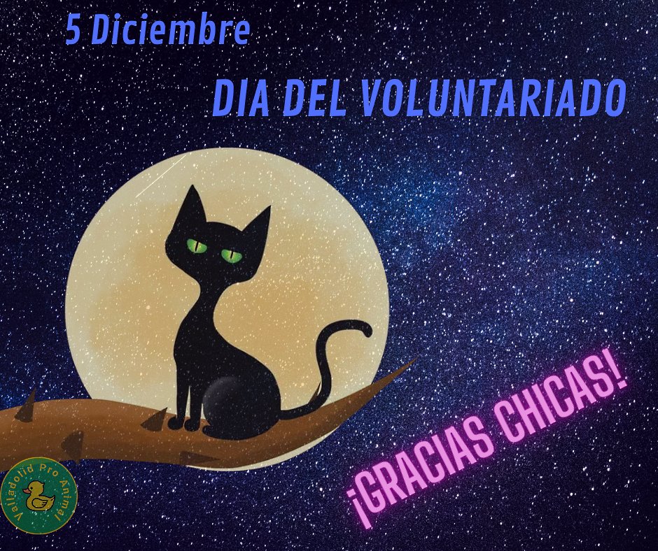 valladolid_pro's tweet photo. #coloniasfelinas #protectoras #ProtectorasAnimales #Rescatistas https://t.co/YTARq5B63c