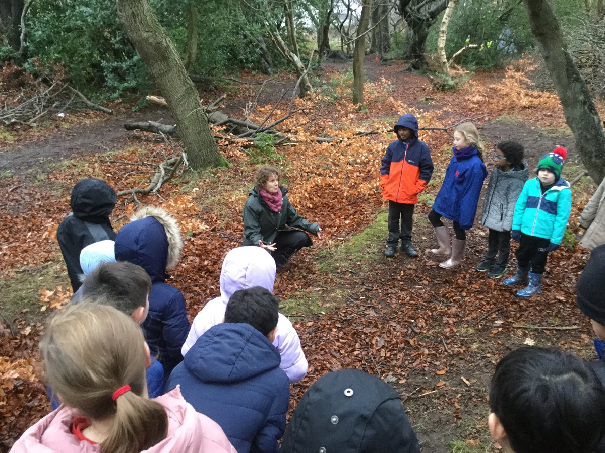 MrsR 👩‍🔬 P4 Teacher tweet media