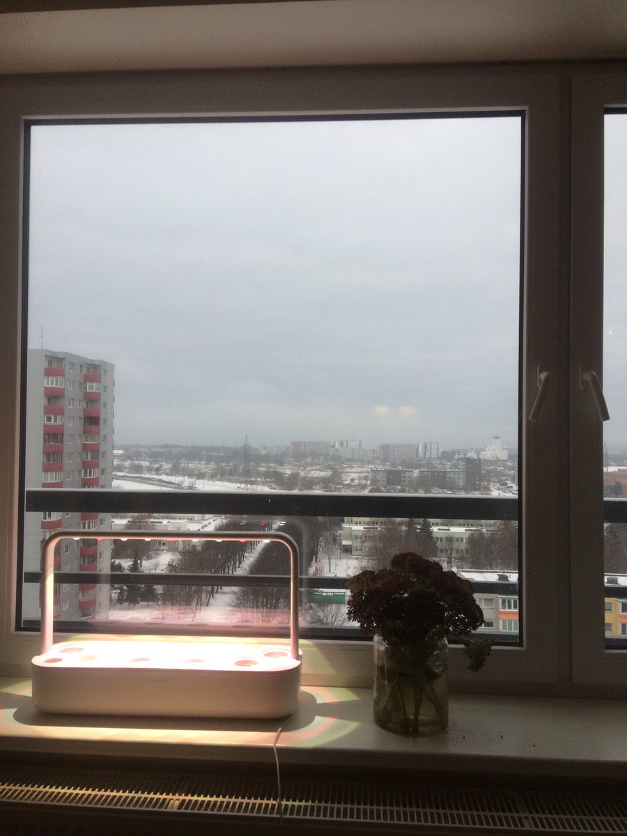 imbii's tweet photo. @kaupolepasepp Istun oma Lasnamäe kodus diivanil ja selline vaade otse ees. Jep, täiega nõus sinuga. https://t.co/v3ILzDVEmq