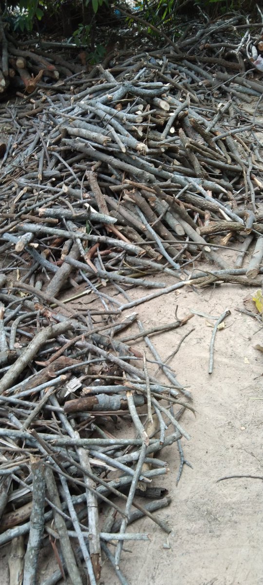 งานวันนี้เรียบร้อยไปด้วยดีคับ